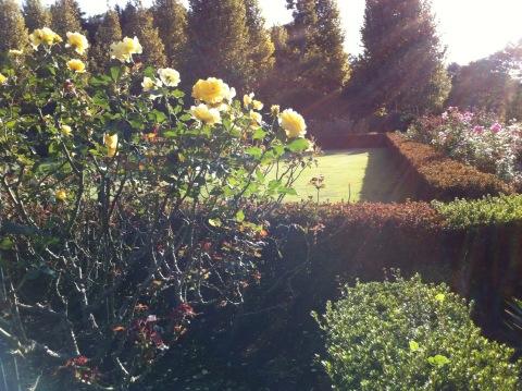 f:id:petersham:20121025130842j:image:w360 f:id:petersham:20121025130842j:image:w360