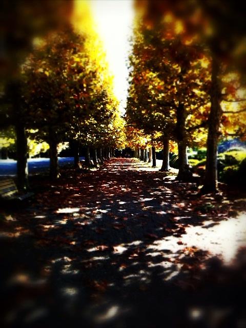 f:id:petersham:20121109163652j:image:w360 f:id:petersham:20121109163652j:image:w360