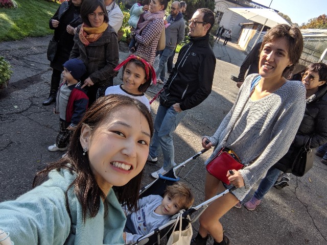 f:id:petit-potelon:20191102021429j:image