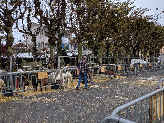 f:id:petit-potelon:20191116200433j:image