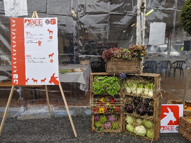 f:id:petit-potelon:20191116202647j:image