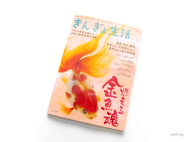 きんぎょ生活 no.4