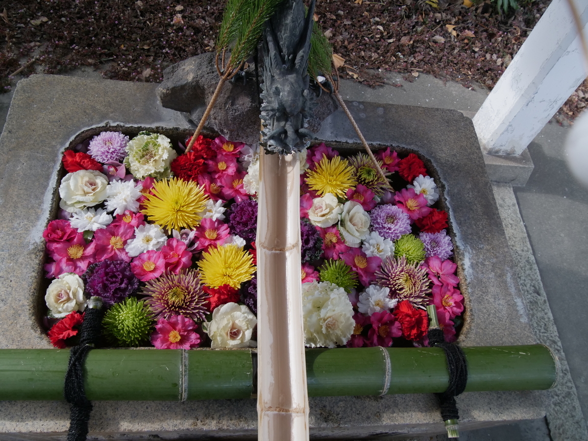 f:id:petitcochon77:20220104214033j:plain