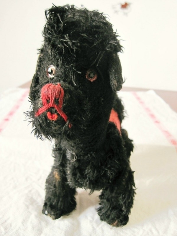 f:id:petitmatin:20100810162930j:image:w150