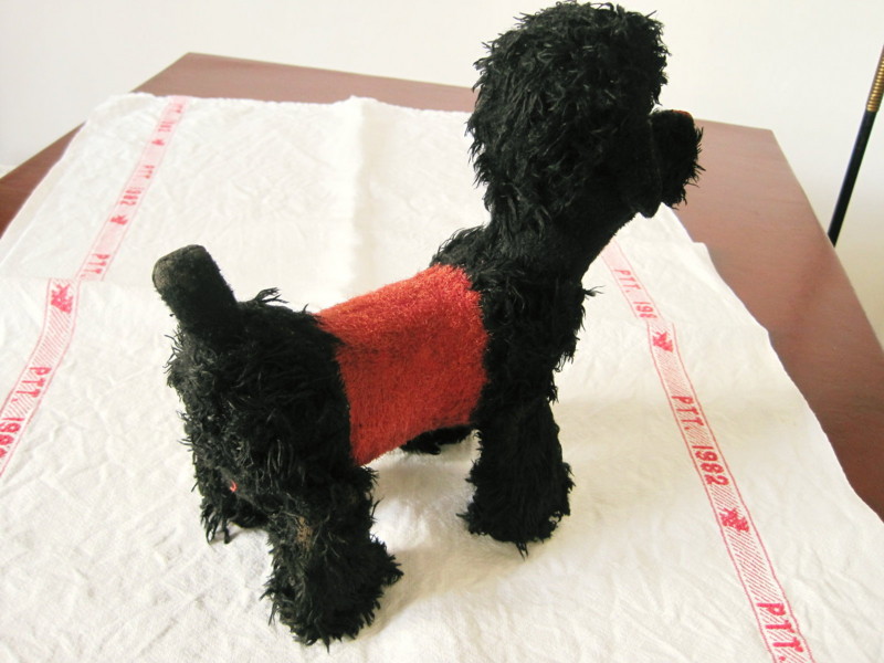 f:id:petitmatin:20100810162946j:image:w200