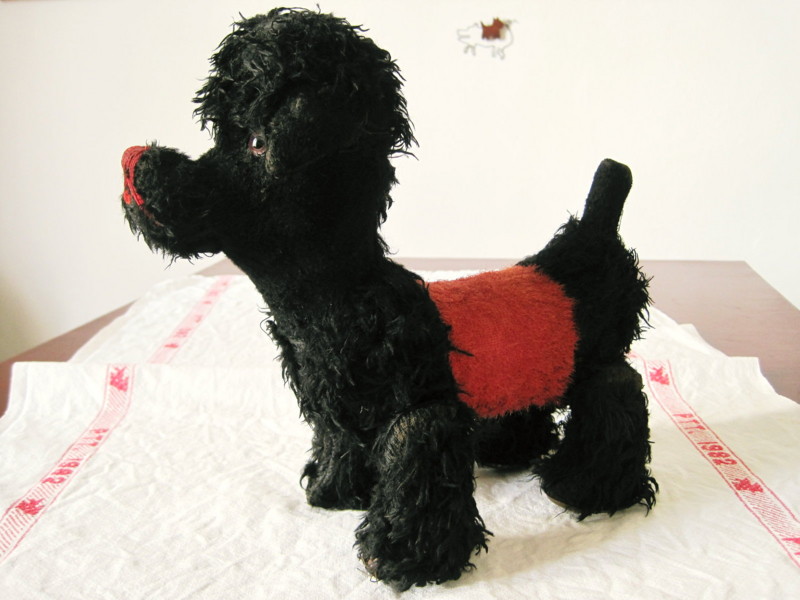 f:id:petitmatin:20100810163018j:image:w200