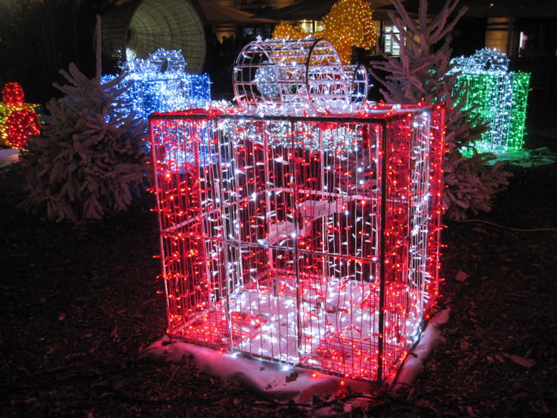 f:id:petitmatin:20121212190326j:image:w250