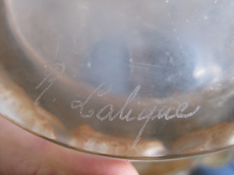 f:id:petitmatin:20140115034535j:image:w220 f:id:petitmatin:20140115034535j:image:w220