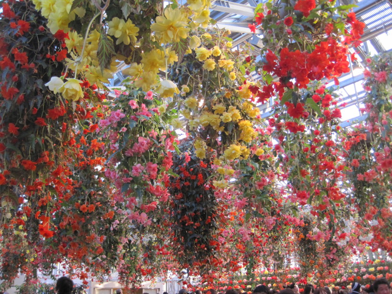 f:id:petitmatin:20140223100045j:image:w400 f:id:petitmatin:20140223100045j:image:w400