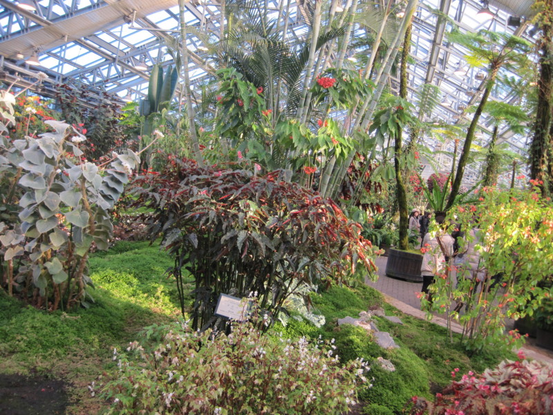 f:id:petitmatin:20140223101240j:image:w220 f:id:petitmatin:20140223101240j:image:w220