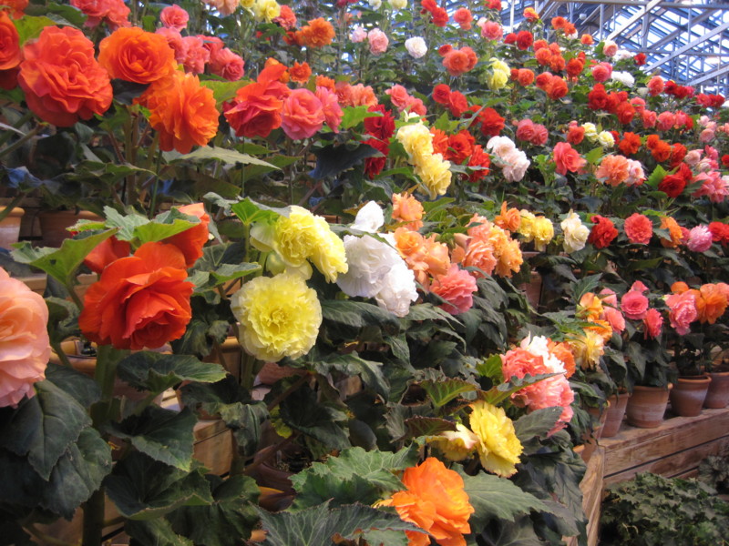 f:id:petitmatin:20140223103428j:image:w400 f:id:petitmatin:20140223103428j:image:w400