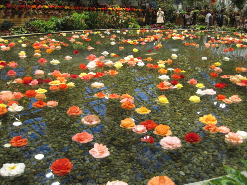 f:id:petitmatin:20140223110735j:image:w220