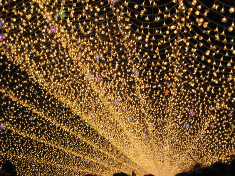 f:id:petitmatin:20140223112017j:image:w220