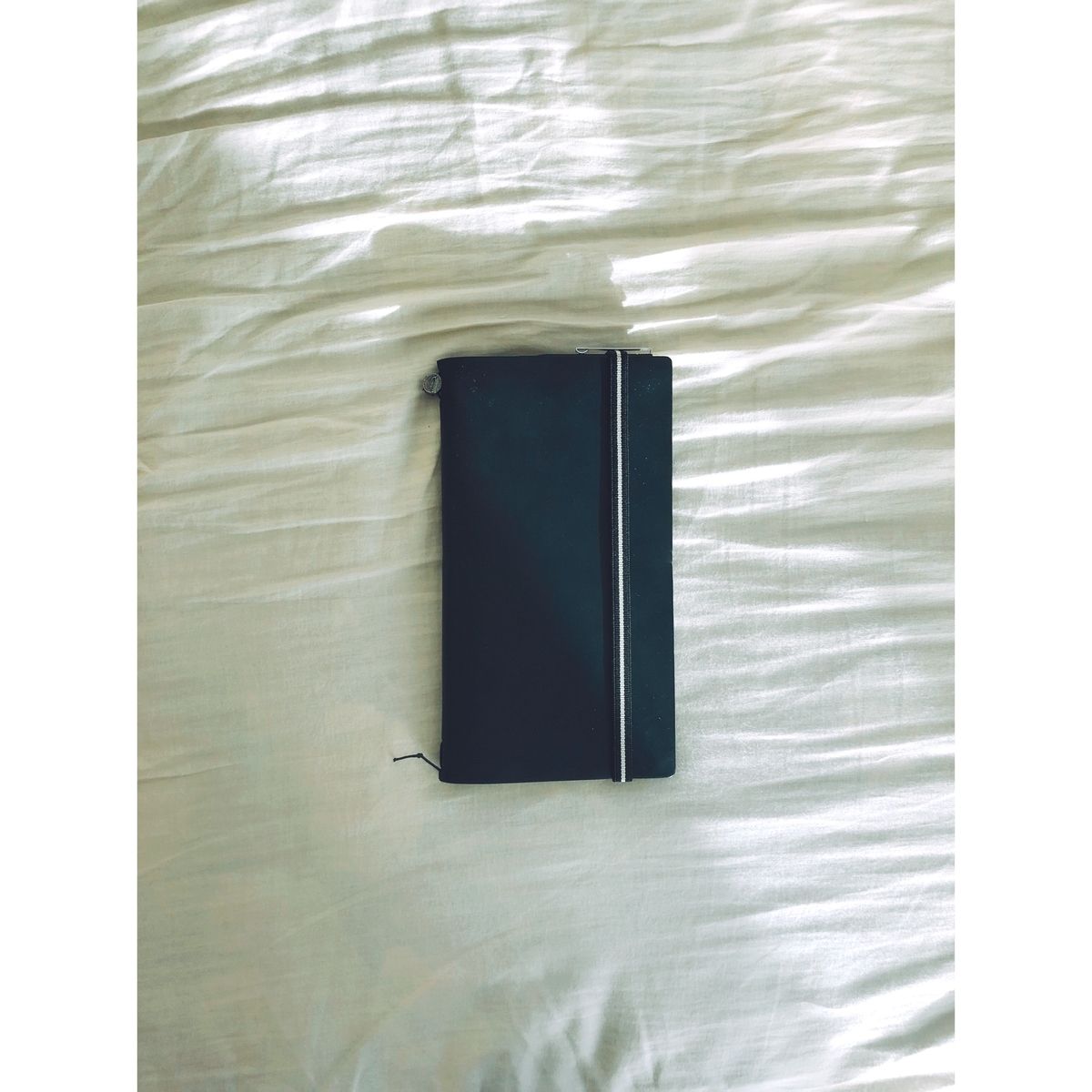 f:id:petitoiseaublanc:20200201224142j:plain