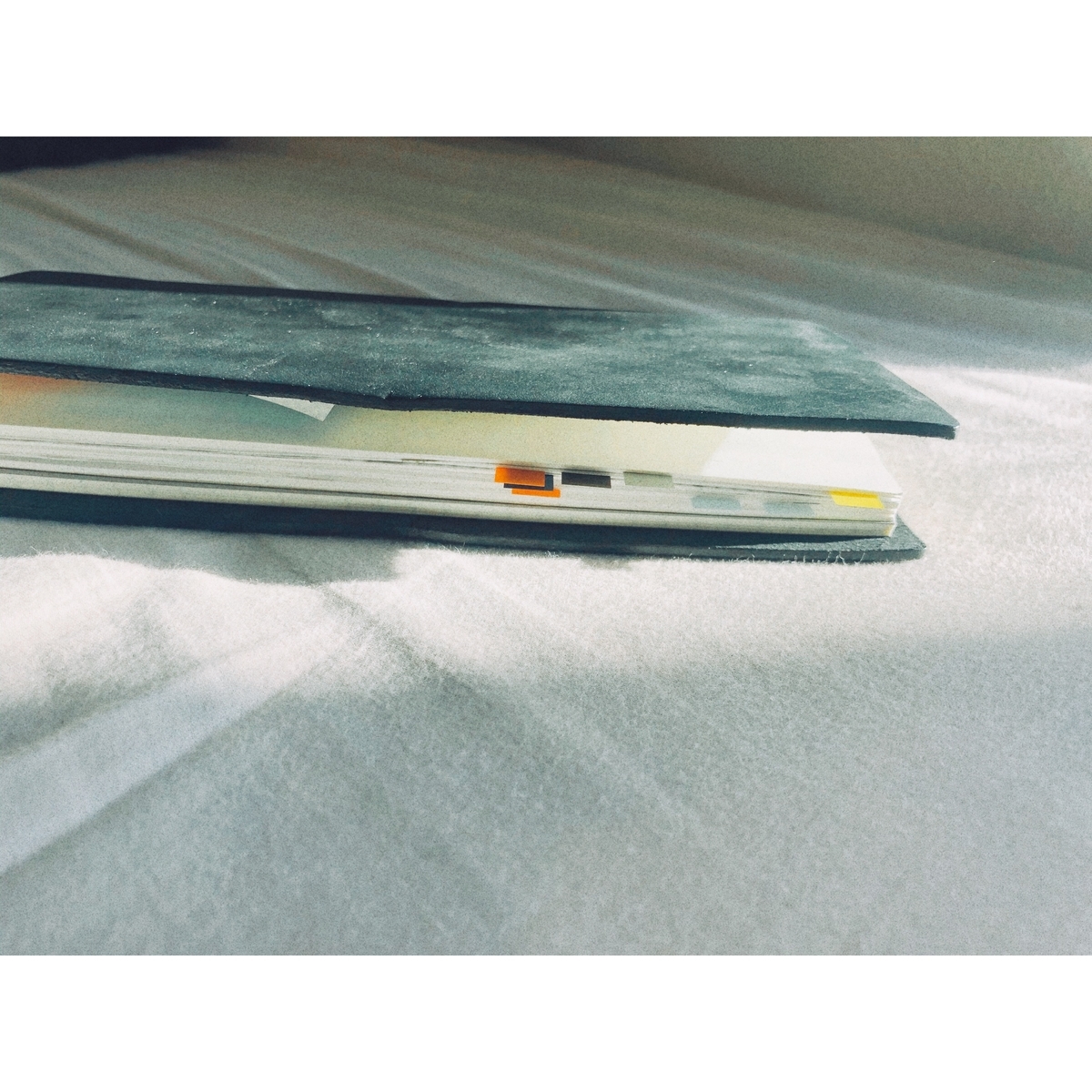 f:id:petitoiseaublanc:20200206162940j:plain