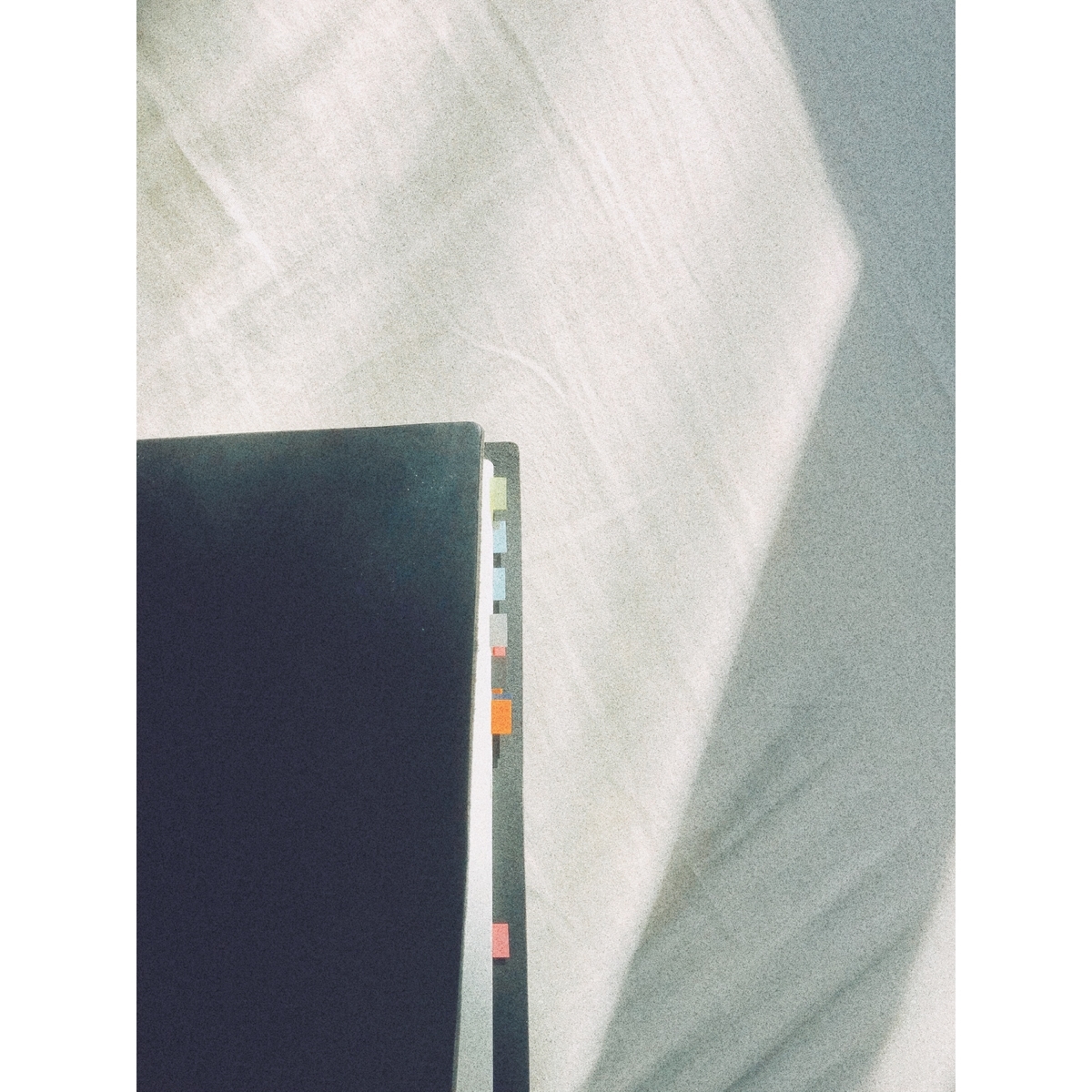 f:id:petitoiseaublanc:20200208230851j:plain
