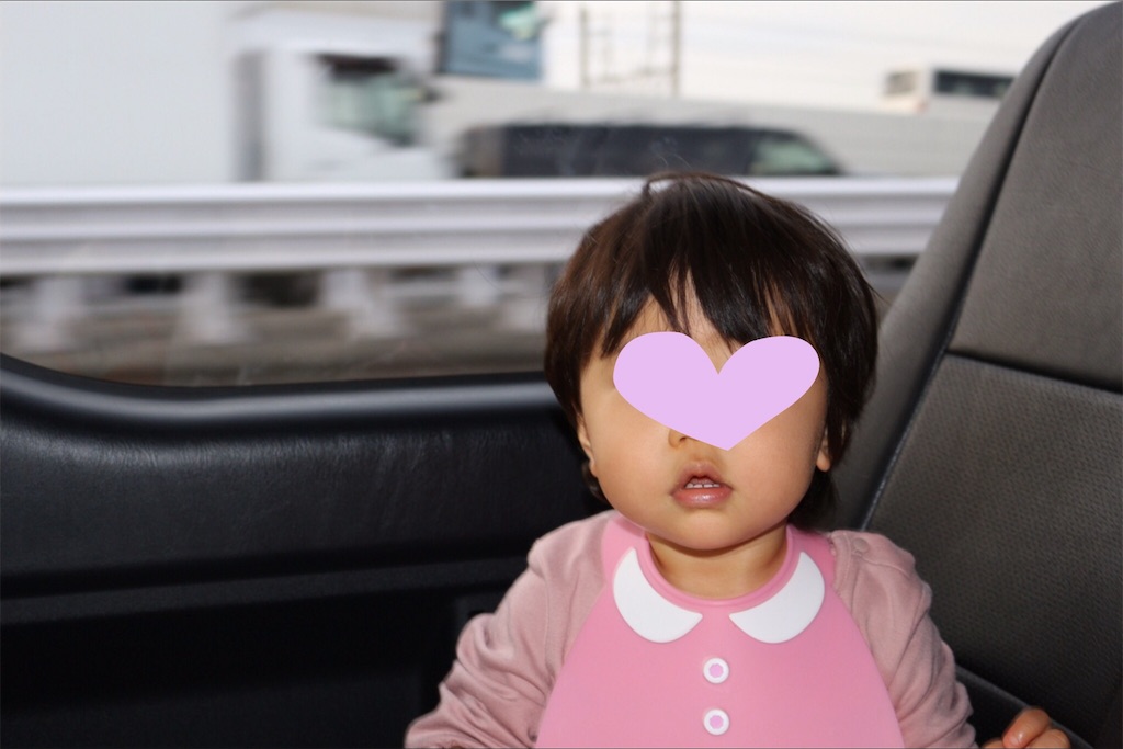 f:id:petitpapa-de-gamin:20190211174657j:image
