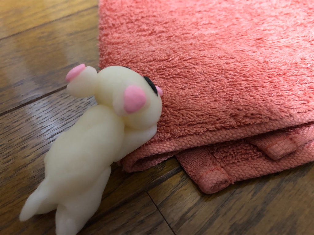 f:id:petlovelike:20190722230604j:image
