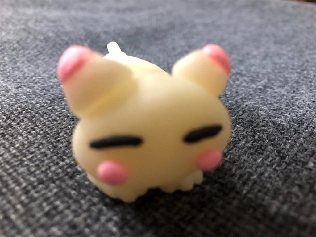 f:id:petlovelike:20190722230927j:image
