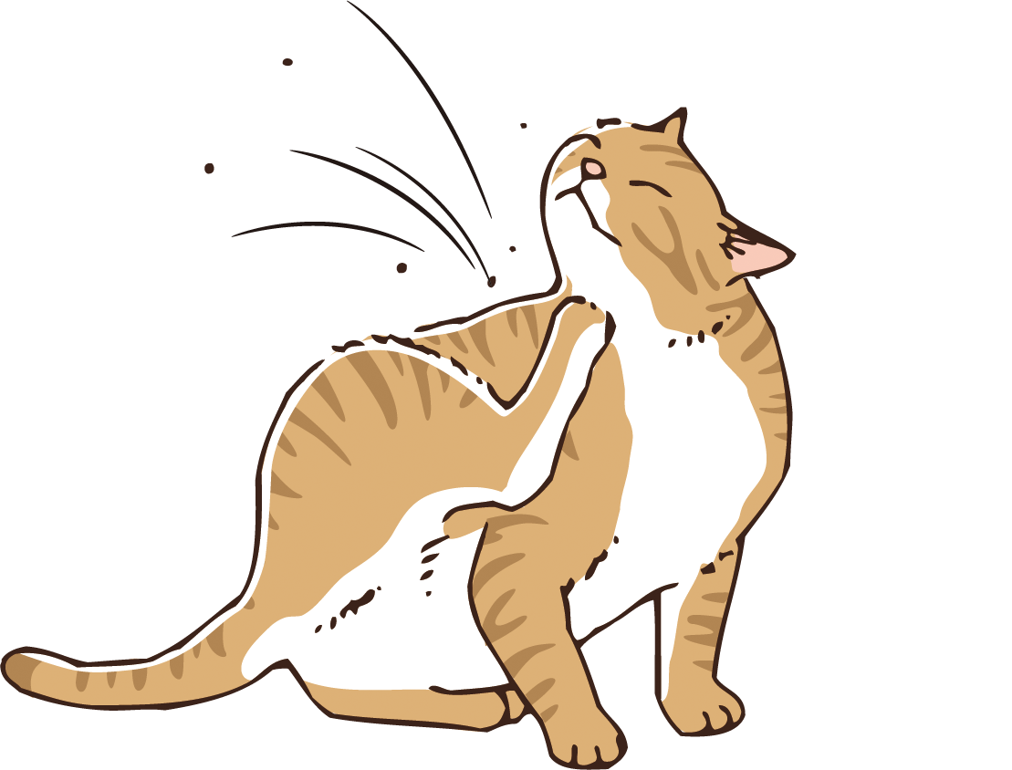 f:id:petnomirai:20190614091320j:plain f:id:petnomirai:20190614091320j:plain