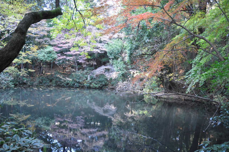 武蔵小金井 蒼浪泉園