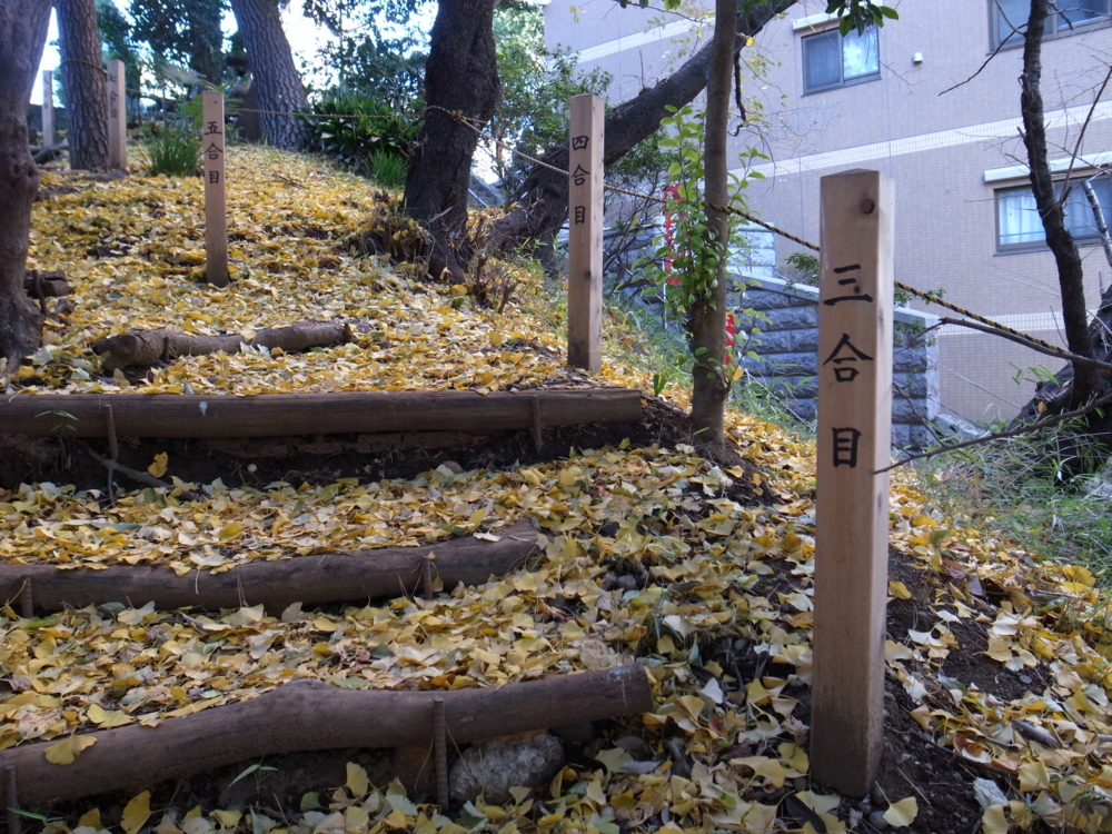 池尻大橋 目黒富士