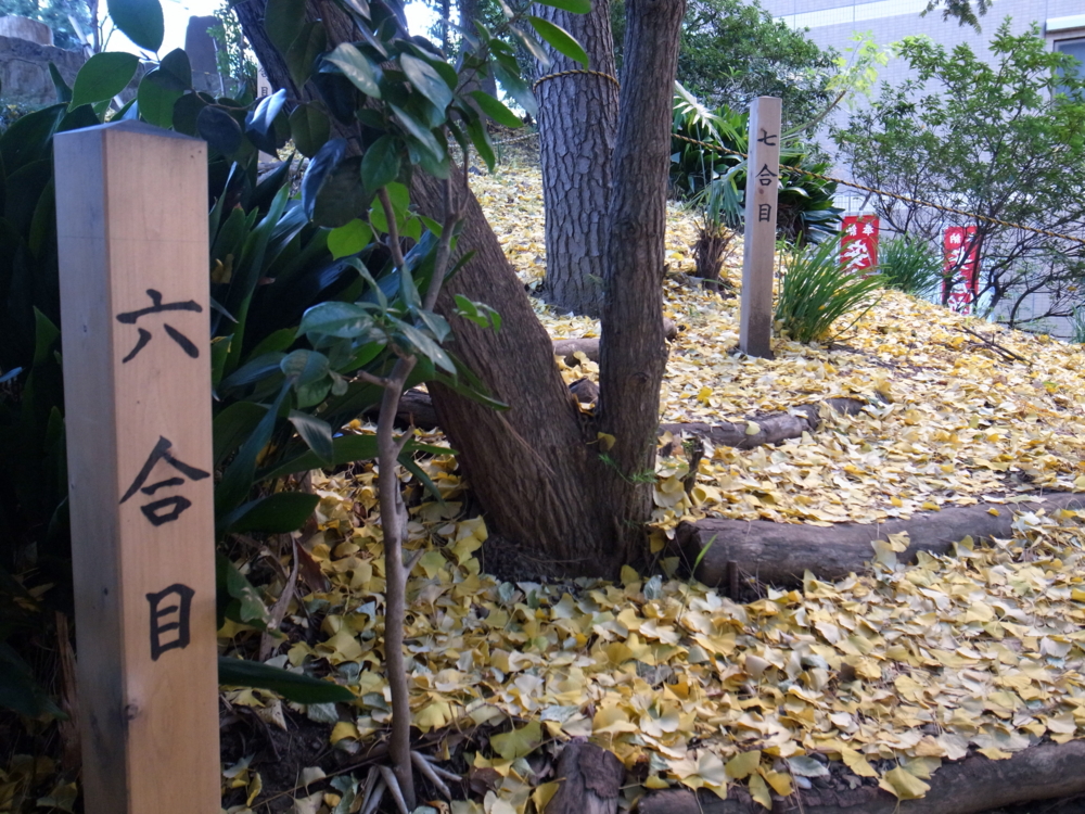 池尻大橋 目黒富士