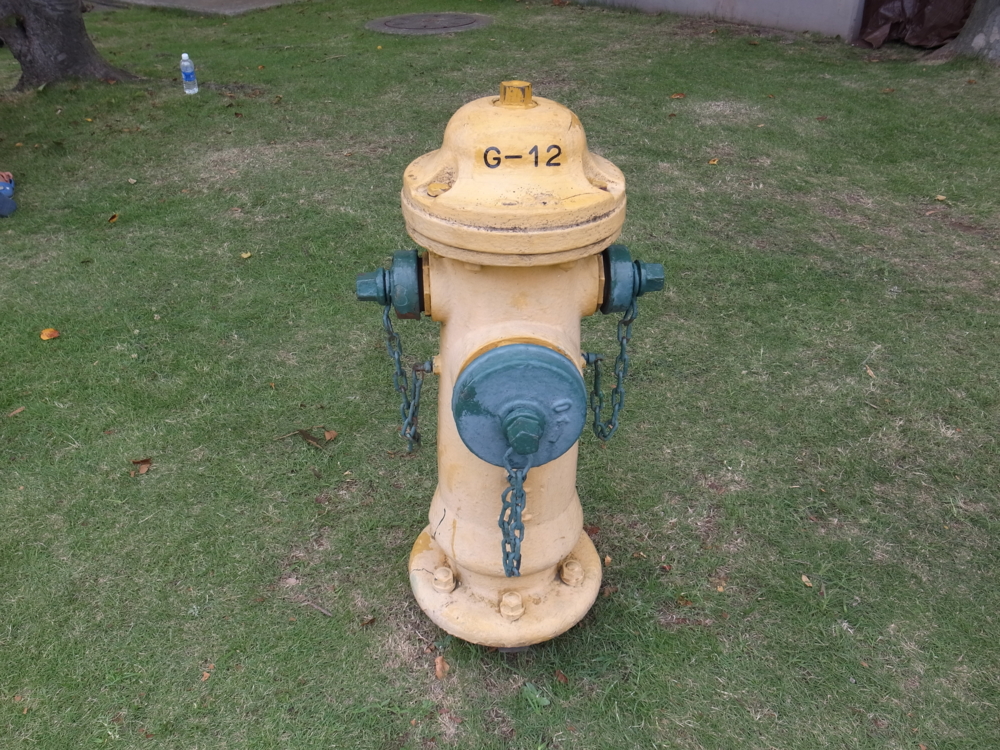 横須賀 米軍横須賀基地 ネイビーフレンドシップデー