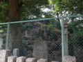 20160701153633