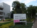 20160703153132