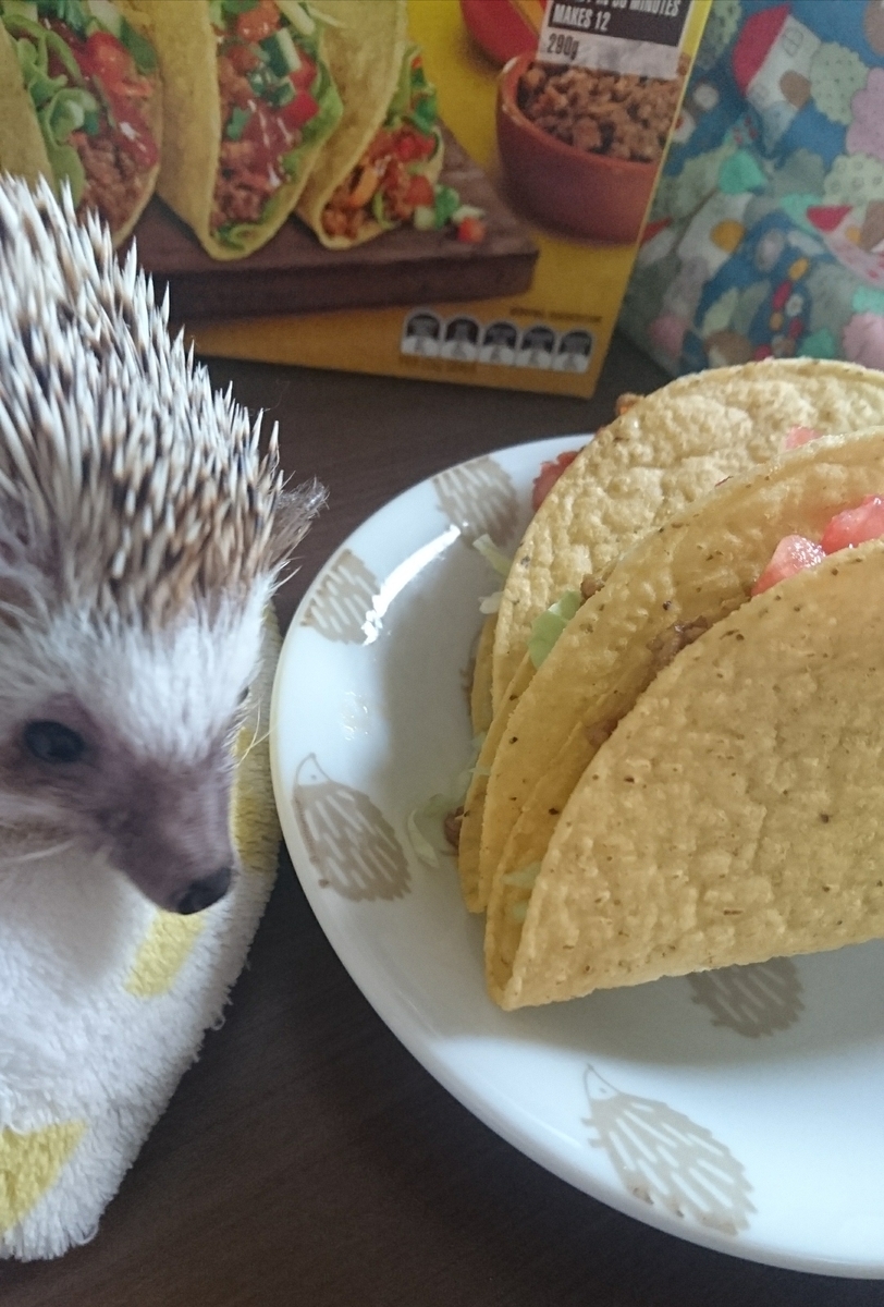 f:id:pettankohedgehog:20200410141936j:plain