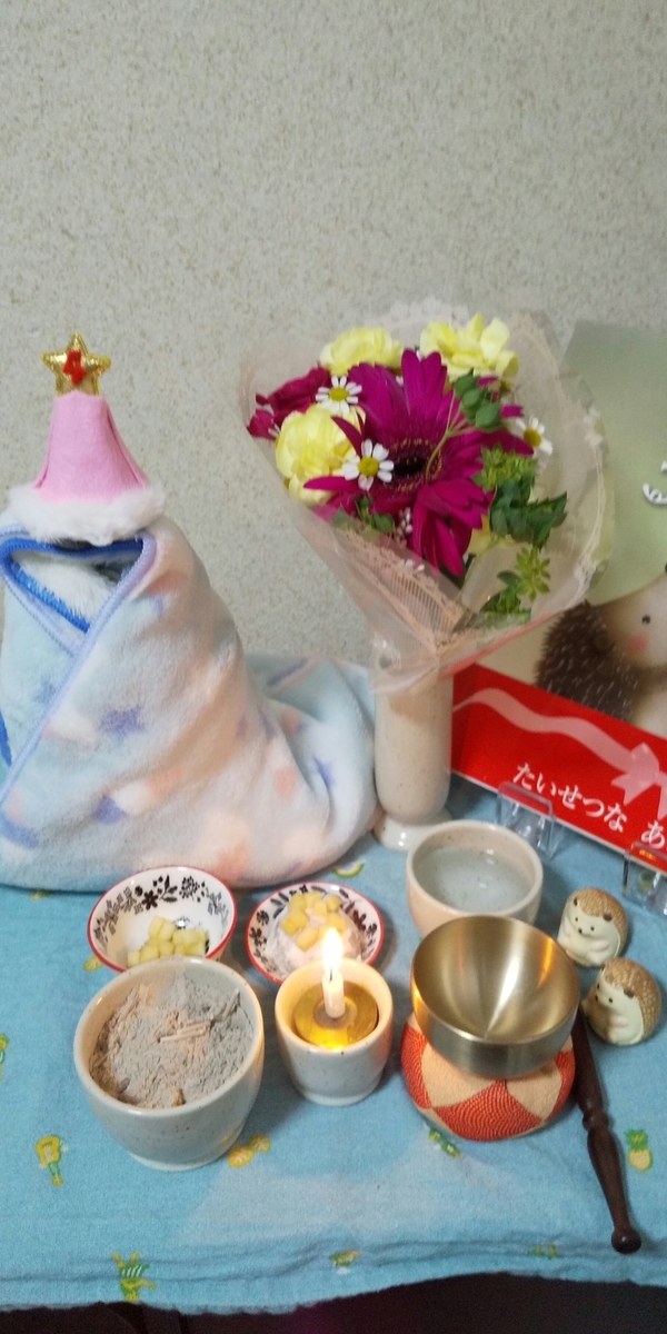 f:id:pettankohedgehog:20200522171654j:plain