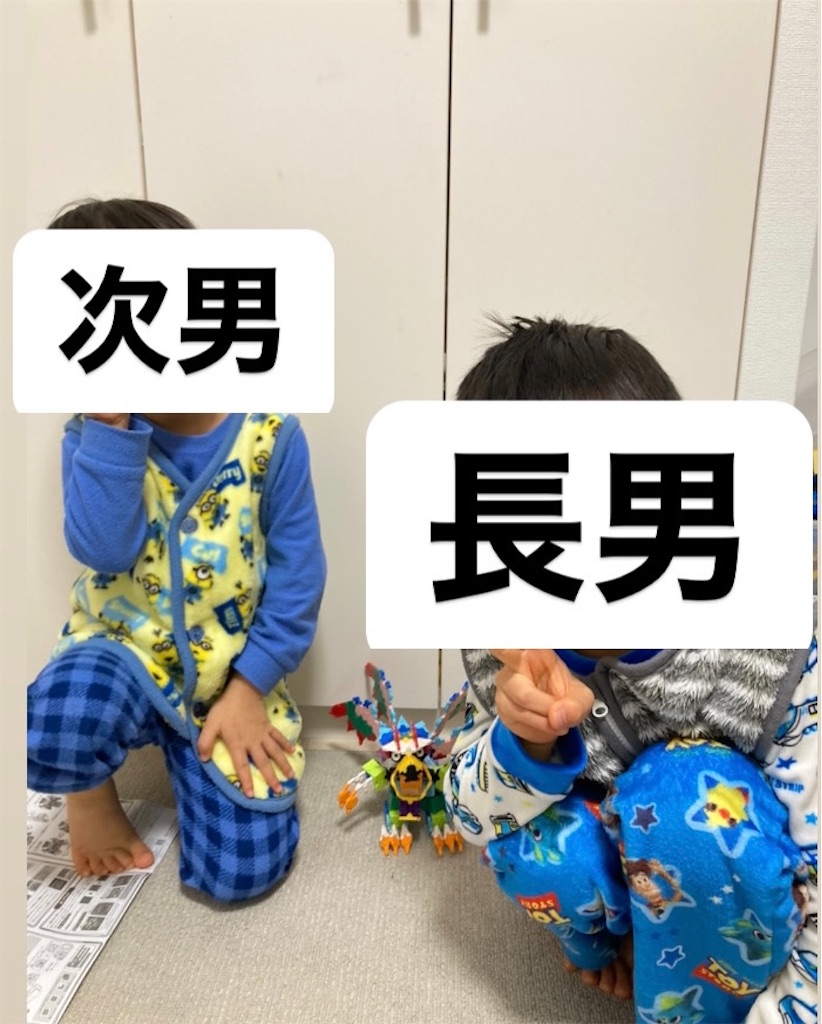 f:id:pettit_life:20230220004446j:image