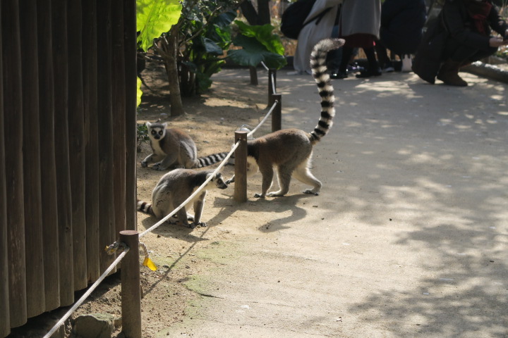 子供が動物と触れ合える神戸どうぶつ王国！ PAPA力向上委員会