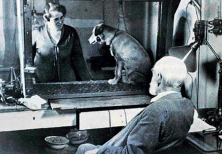 f:id:peugeot106:20100403220406j:image