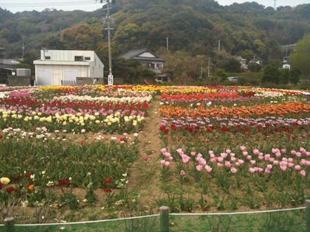 f:id:peugeot106:20110416142404j:image