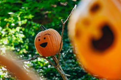 ”お菓子外し”とか”お土産外し”って..... pumpkin head