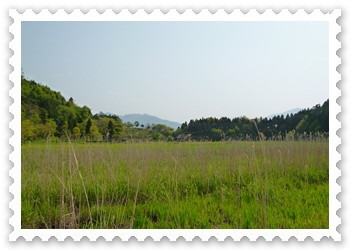 https://cdn-ak.f.st-hatena.com/images/fotolife/p/pf_eri/20181203/20181203123418.jpg