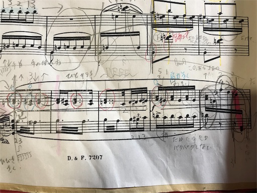 f:id:pf_eri:20190204181842j:image