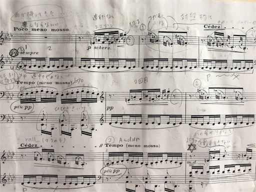 f:id:pf_eri:20190218191957j:image