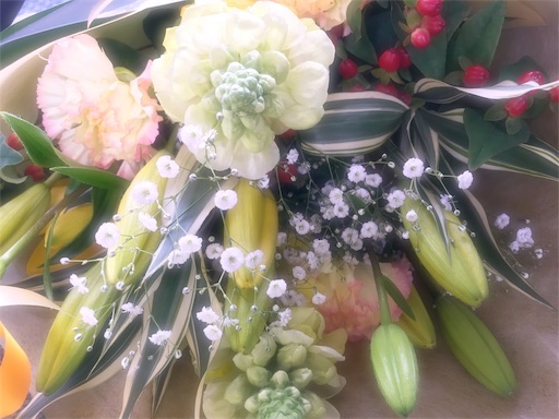 f:id:pf_eri:20190329201322j:image