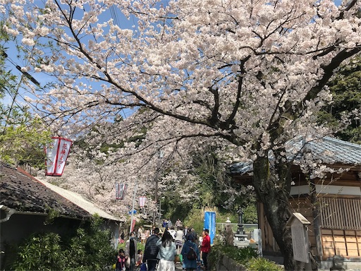 f:id:pf_eri:20190407202218j:image