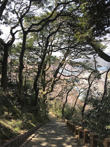 f:id:pf_eri:20190407202226j:image