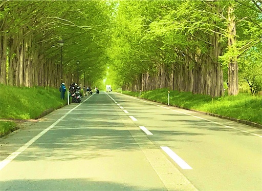 f:id:pf_eri:20190503152645j:image