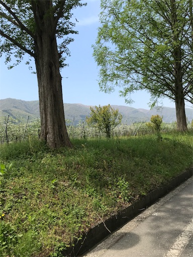 f:id:pf_eri:20190503153443j:image