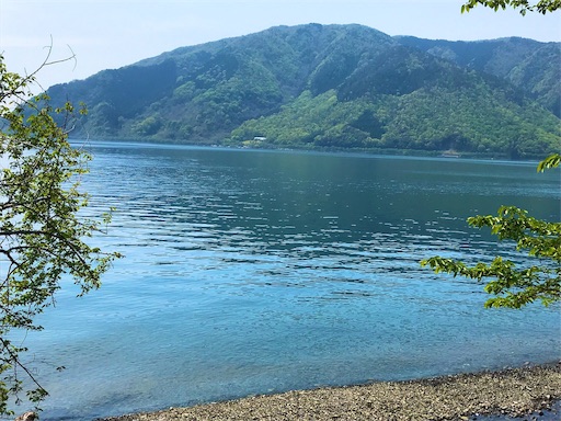 f:id:pf_eri:20190503153718j:image