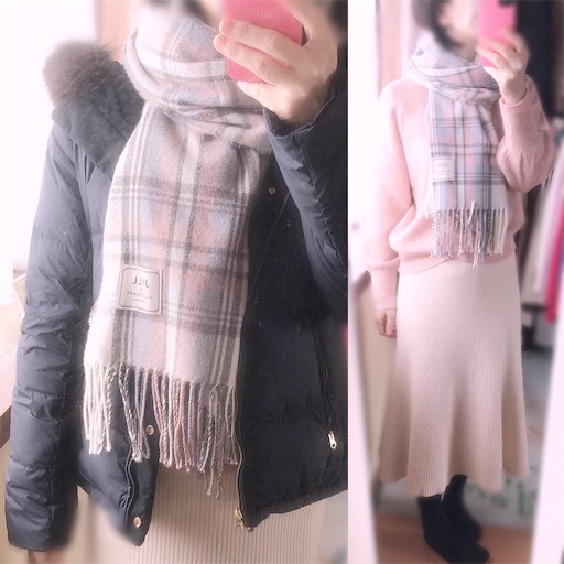 f:id:pf_eri:20201225124755j:image