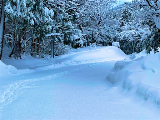 f:id:pf_eri:20230130111910j:image
