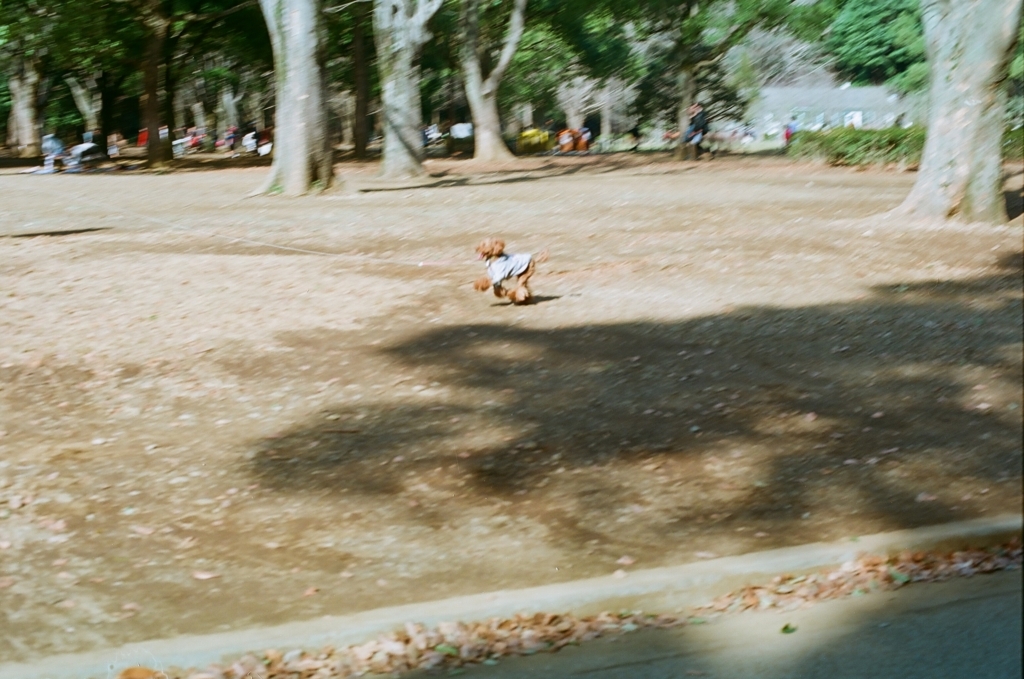 f:id:pfont:20180304194611j:plain f:id:pfont:20180304194611j:plain