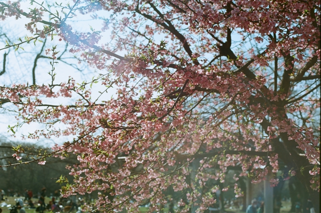 f:id:pfont:20180304194739j:plain f:id:pfont:20180304194739j:plain